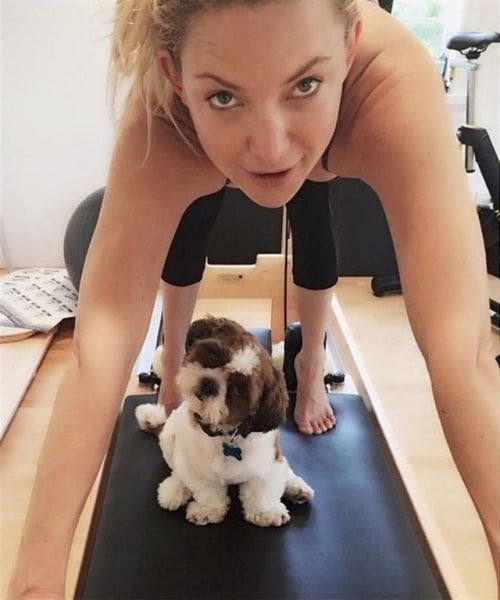 Kate Hudson doing yoga with her dog